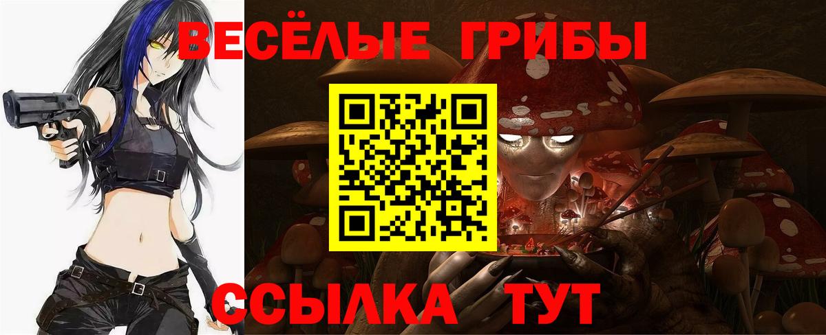 Галлюциногенные грибы мицелий Полевской